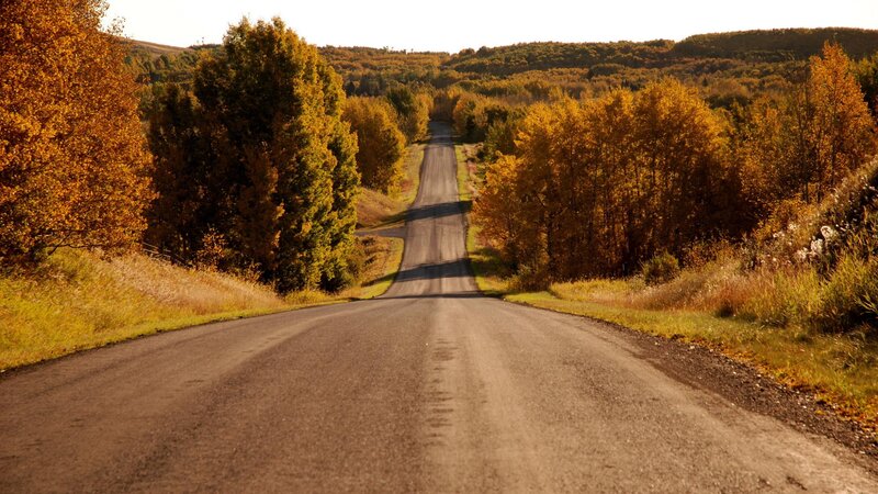 Gravel Road in Autumn — Orange