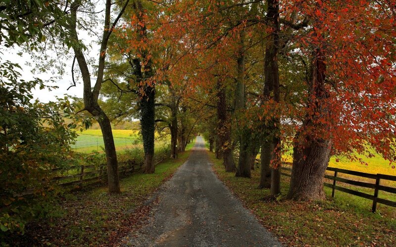 Gravel Road in Autumn — Red