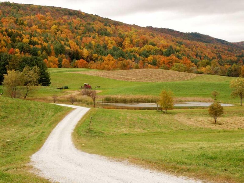 Gravel Road in Autumn