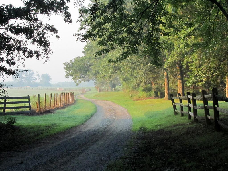 Gravel Road in Countryside — Green