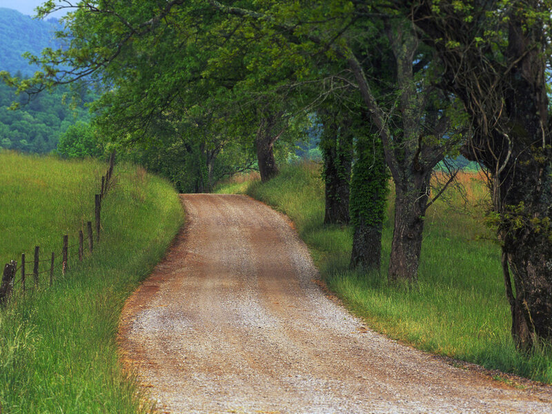 Gravel Road in Countryside