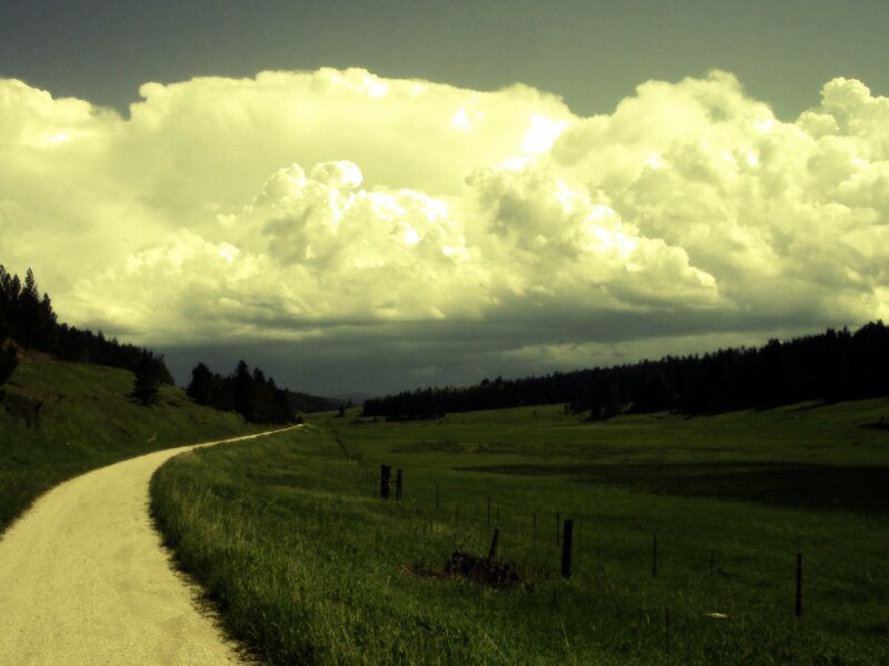 Gravel Road in Field — Green, Dramatic