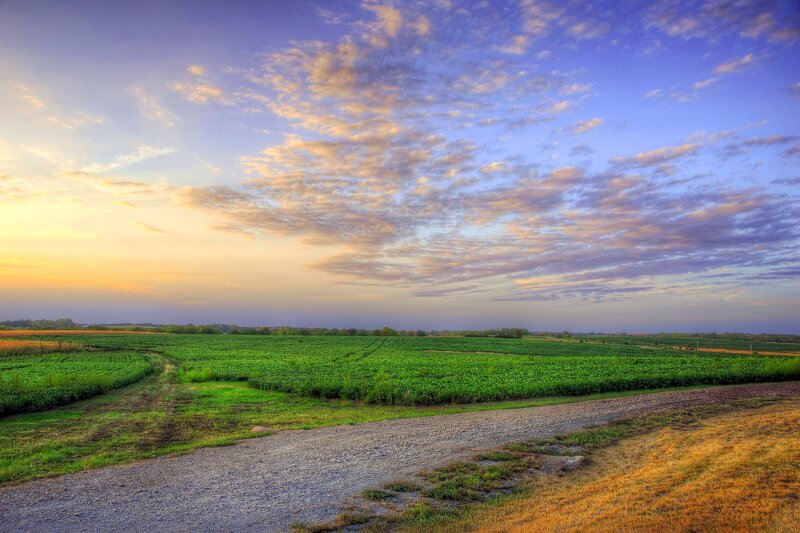 Gravel Road in Field — Green