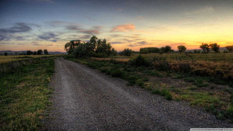 Gravel Road in Field — Orange