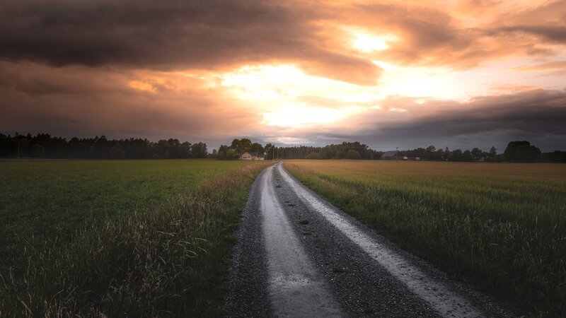Gravel Road in Fields — Green