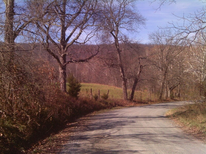Gravel Road in Forest — Brown