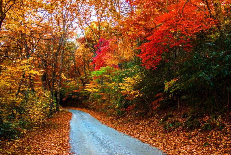 Gravel Road in Forest — Red
