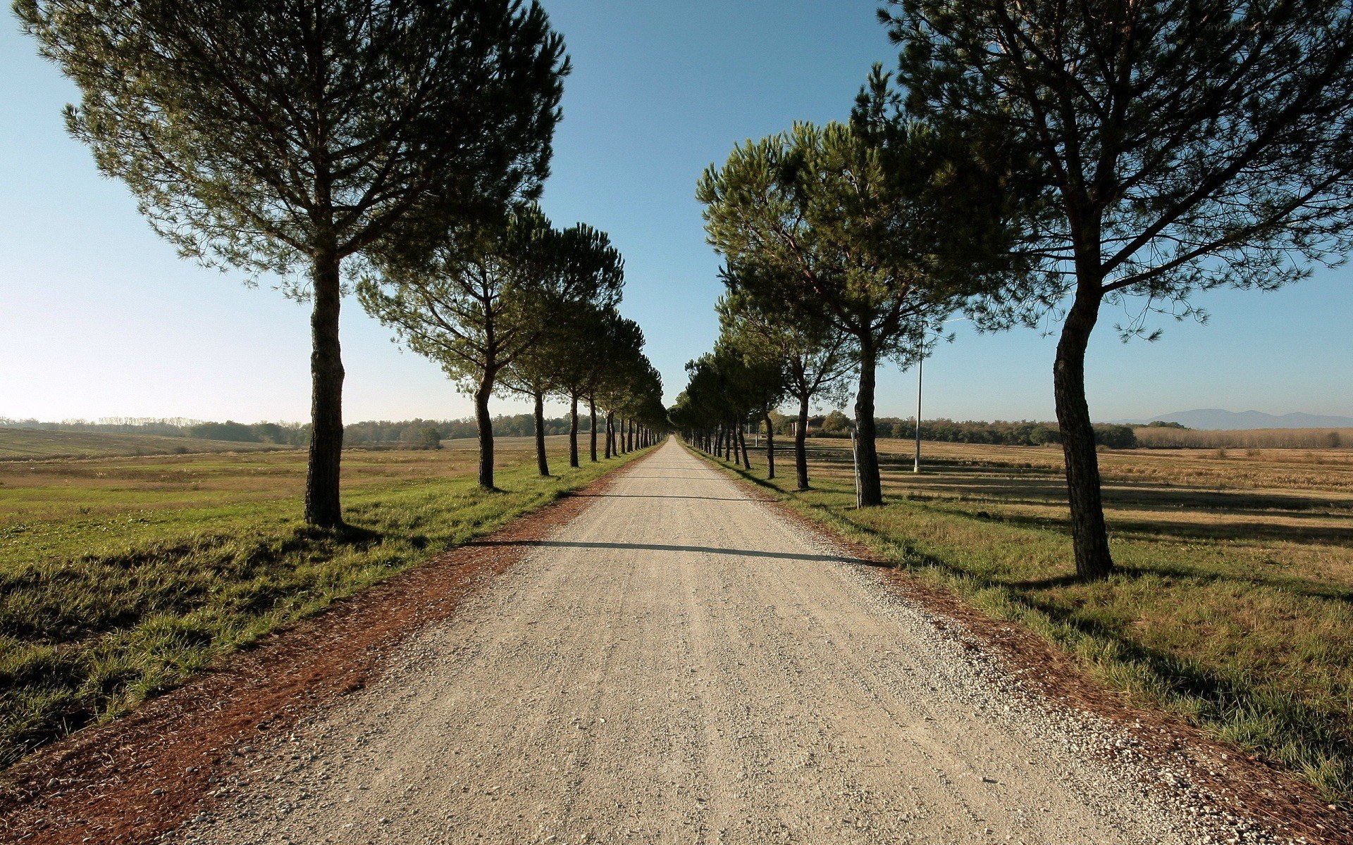 Gravel road lined with trees