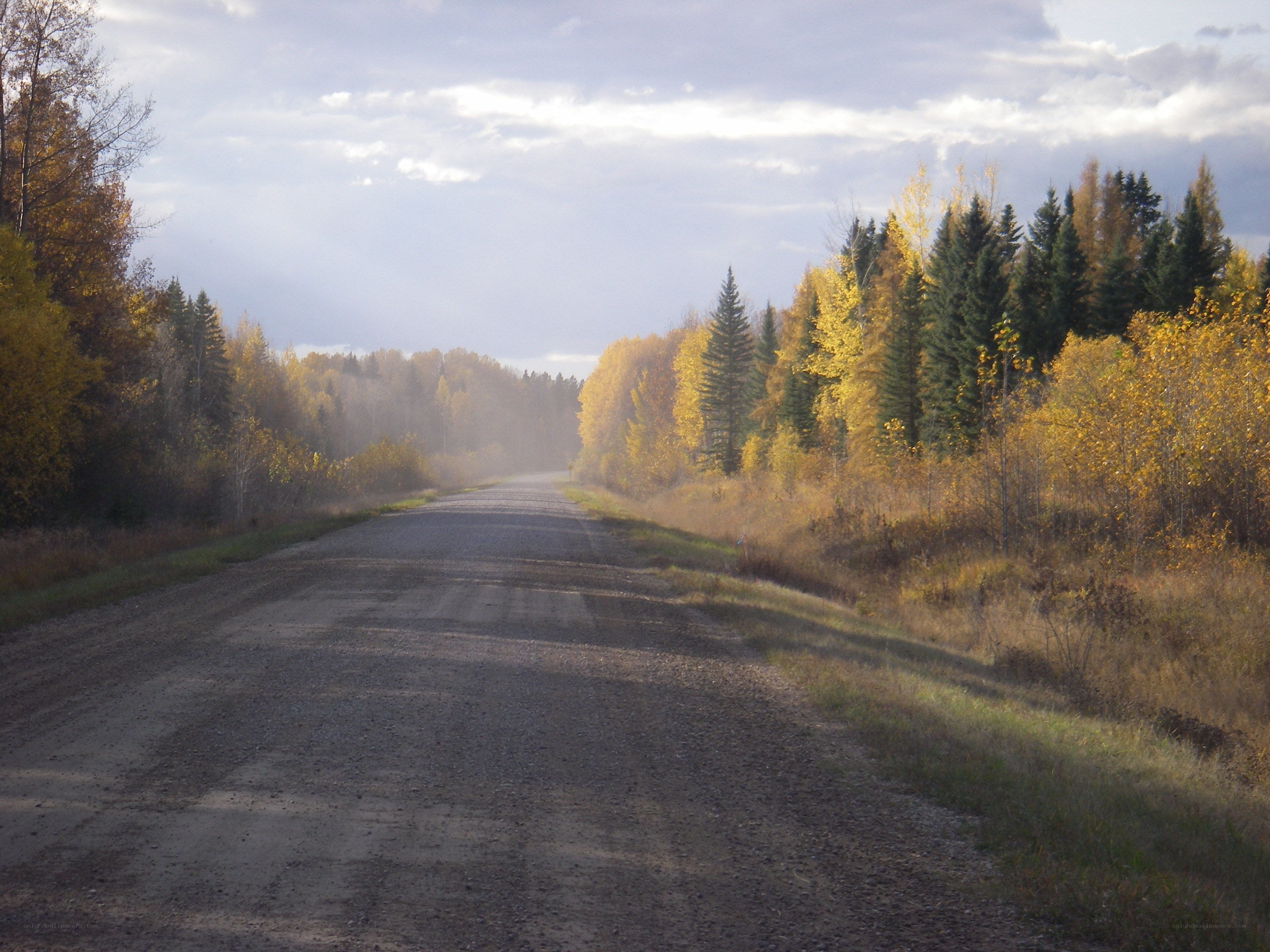 Gravel road through autumn forest