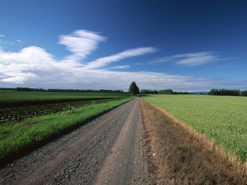 Gravel Road Through Fields — Blue, Serene