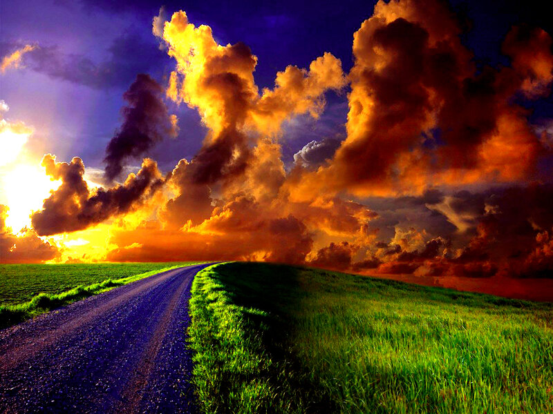 Gravel Road Through Fields — Green