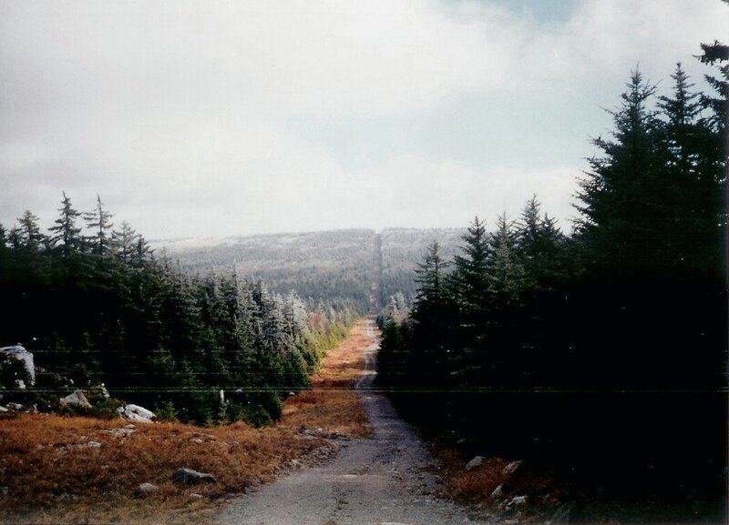 Gravel Road Through Forest