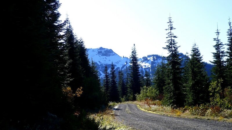 Gravel road through forest to snow-capped mountain