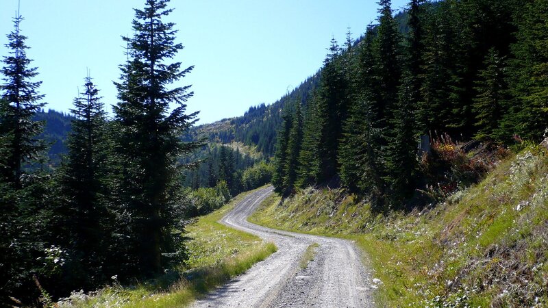 Gravel road through forested mountains