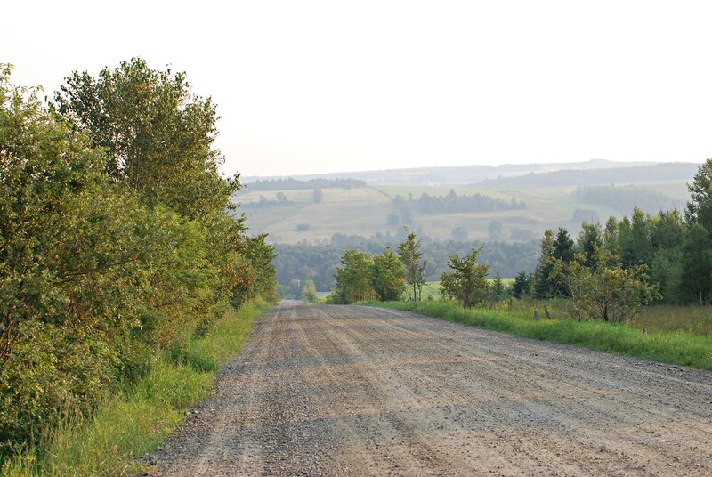 Gravel road through rural landscape