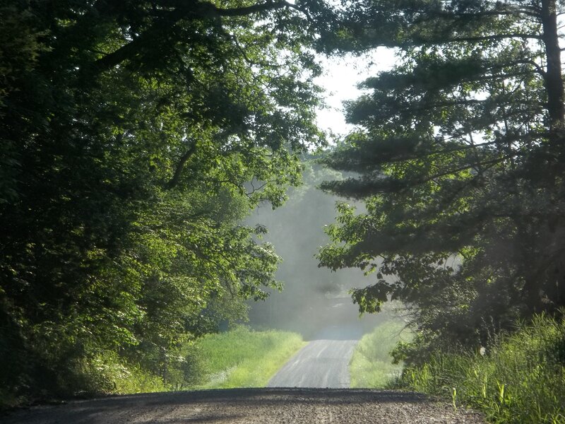 Gravel Road Through Trees