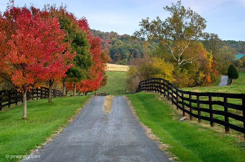 Gravel Road with Autumn Trees