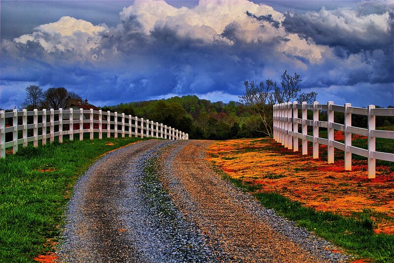 Gravel Road with White Fences