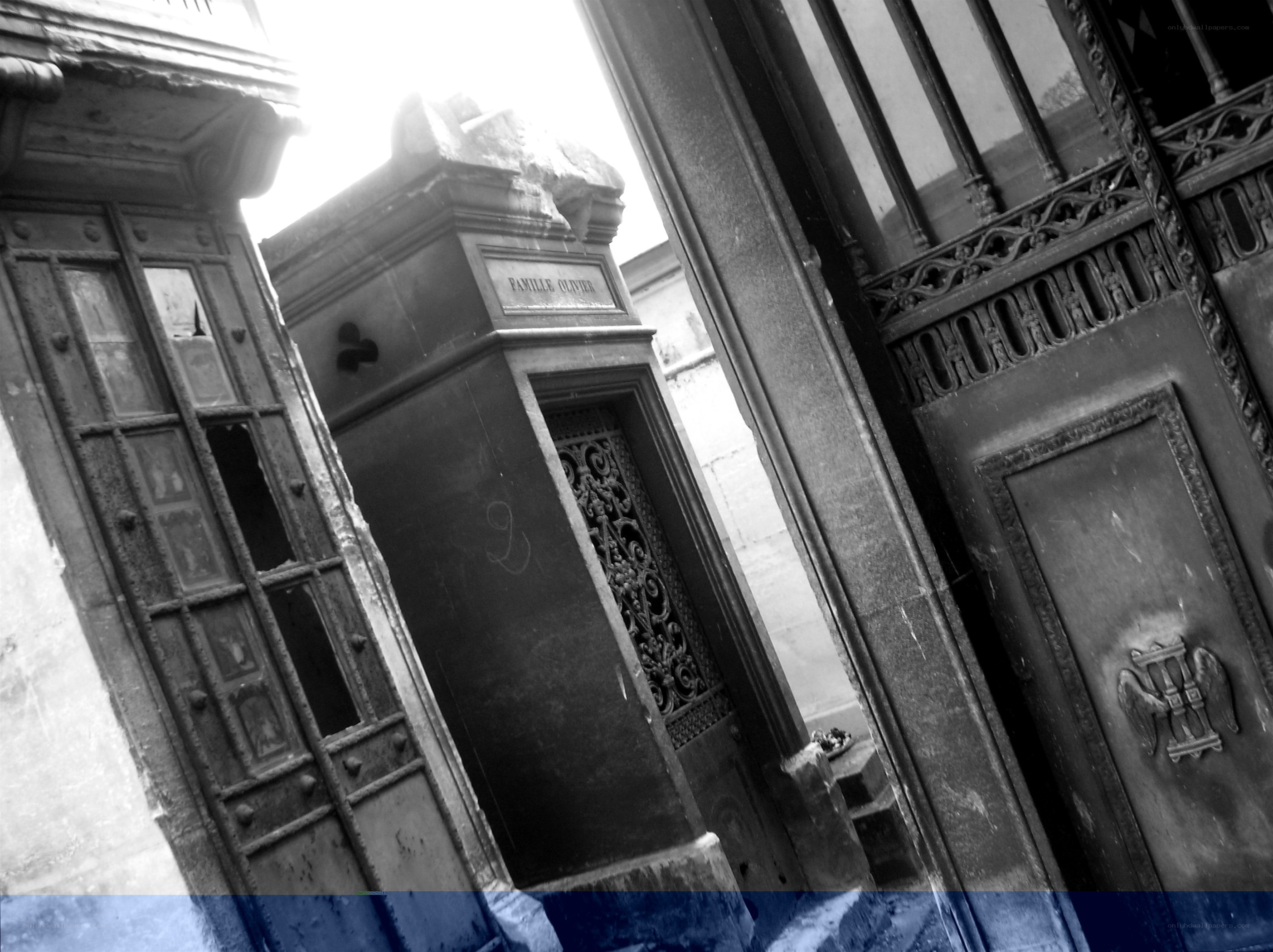 graves in a cemetery