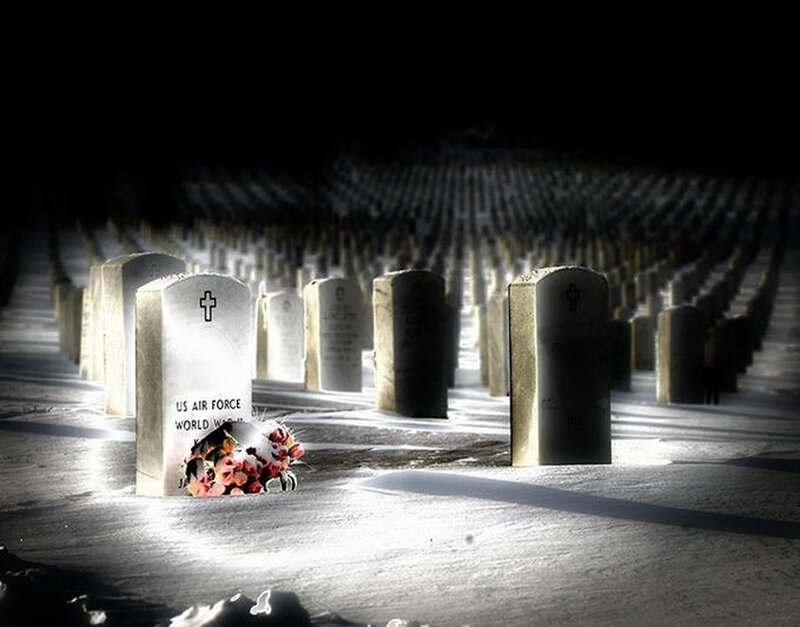 Graves in a military cemetery