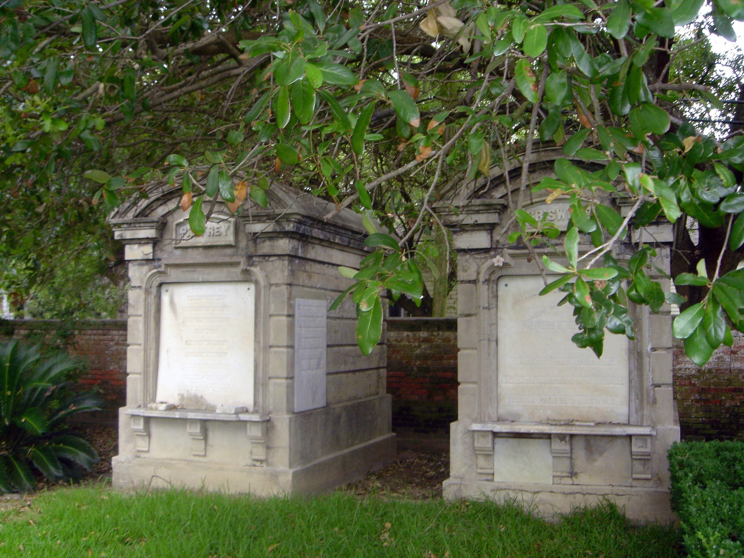 Gravestones in a cemetery