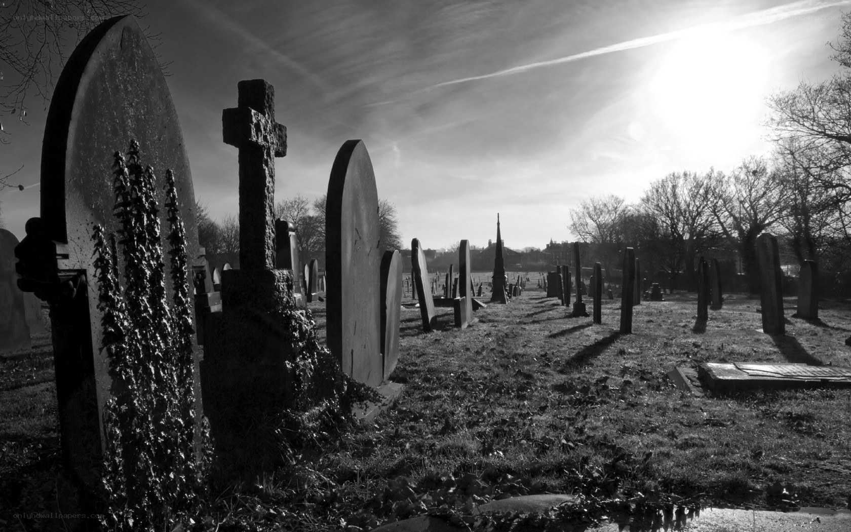 Gravestones in a cemetery