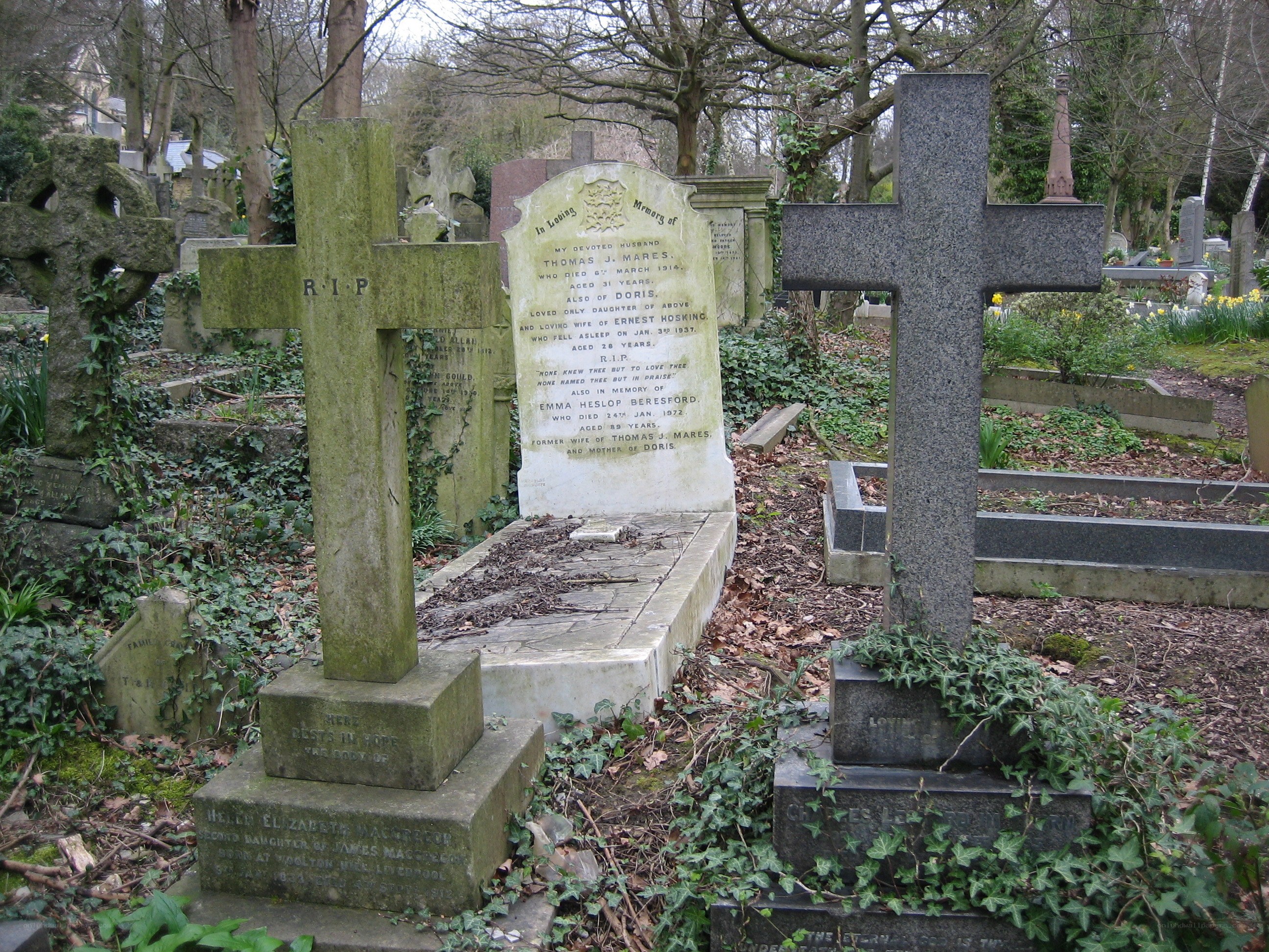 Gravestones in a cemetery