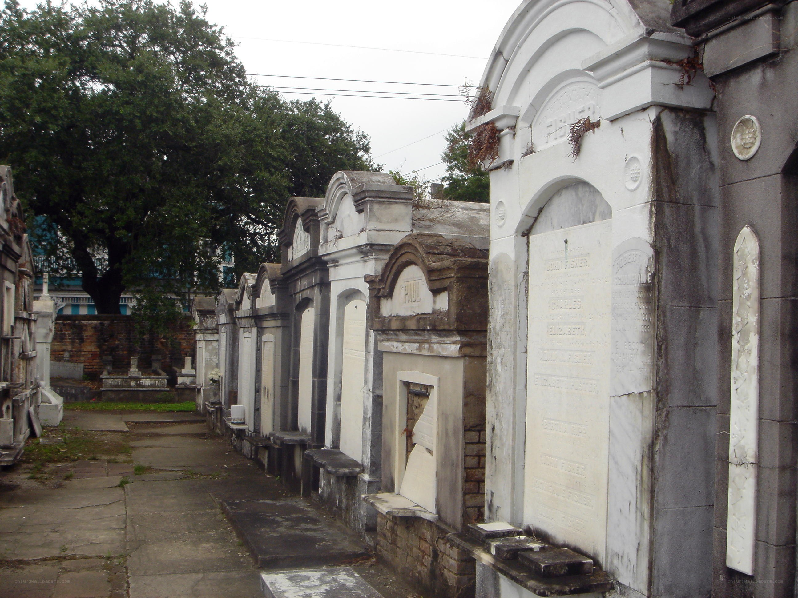 Gravestones in a cemetery