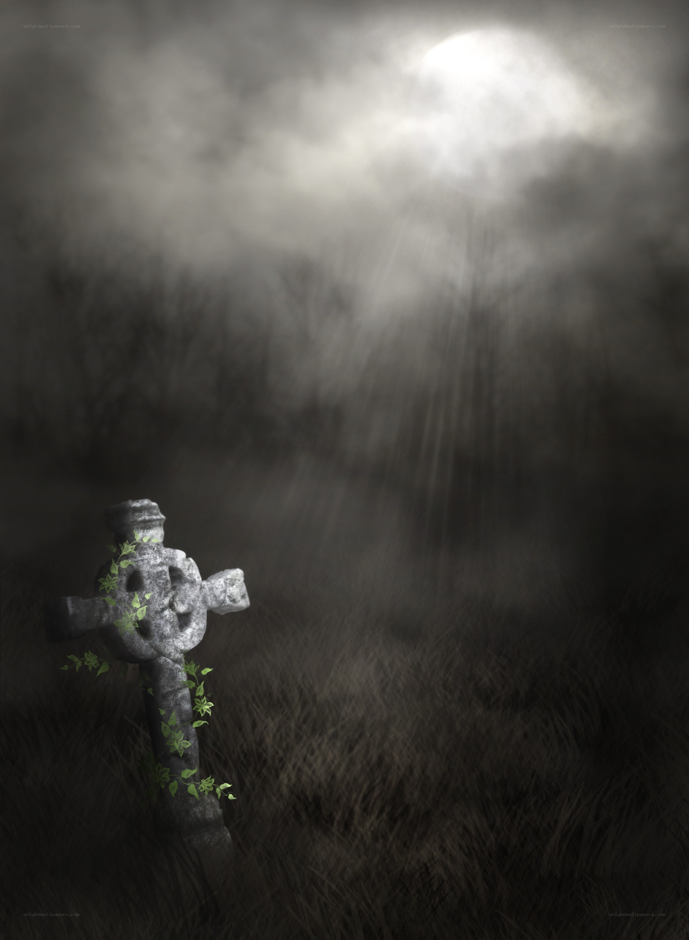 Graveyard cross in mist