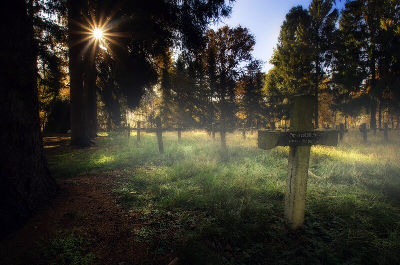 Graveyard Crosses in Forest