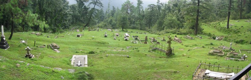Graveyard in a forest