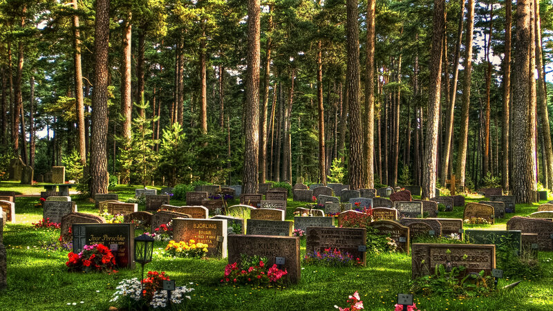 Graveyard in Forest