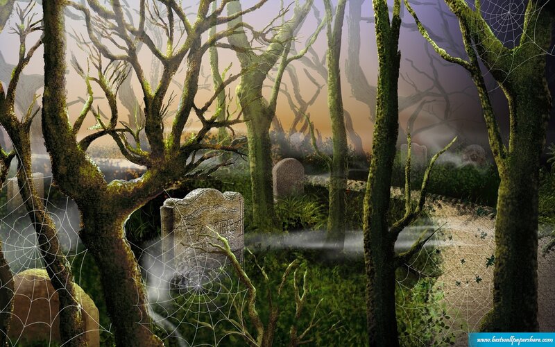 Graveyard in Misty Forest — Green