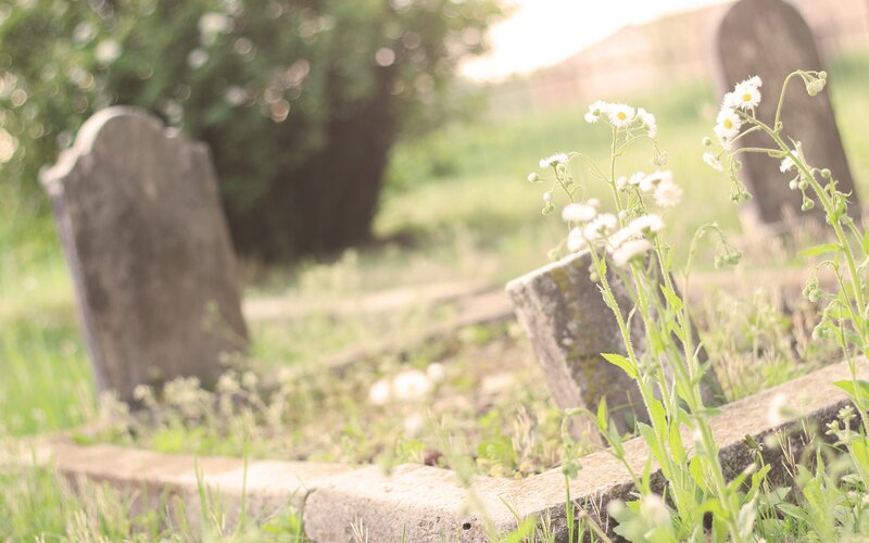 Graveyard with daisies