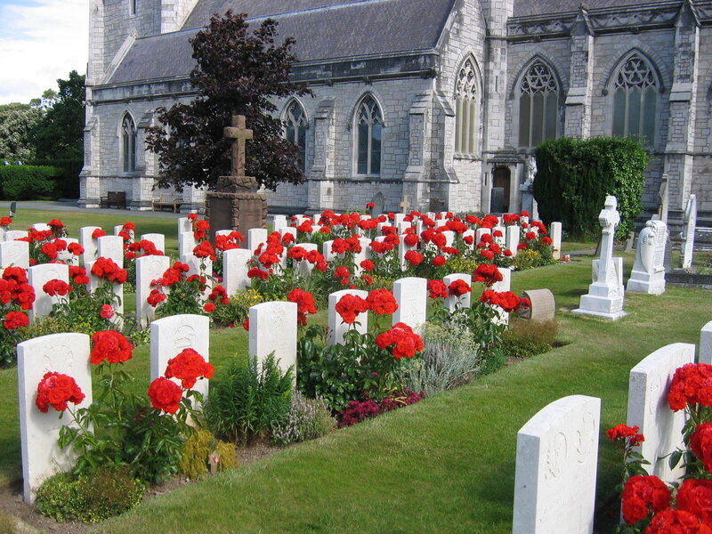 Graveyard with red flowers