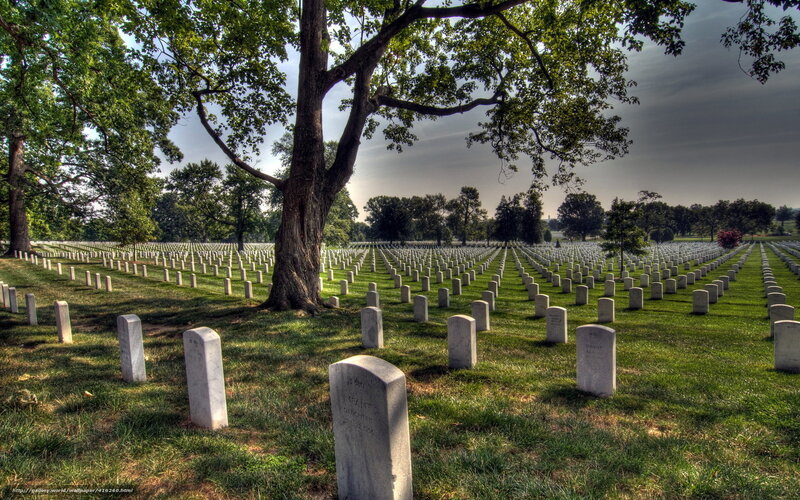 Graveyard with rows of headstones