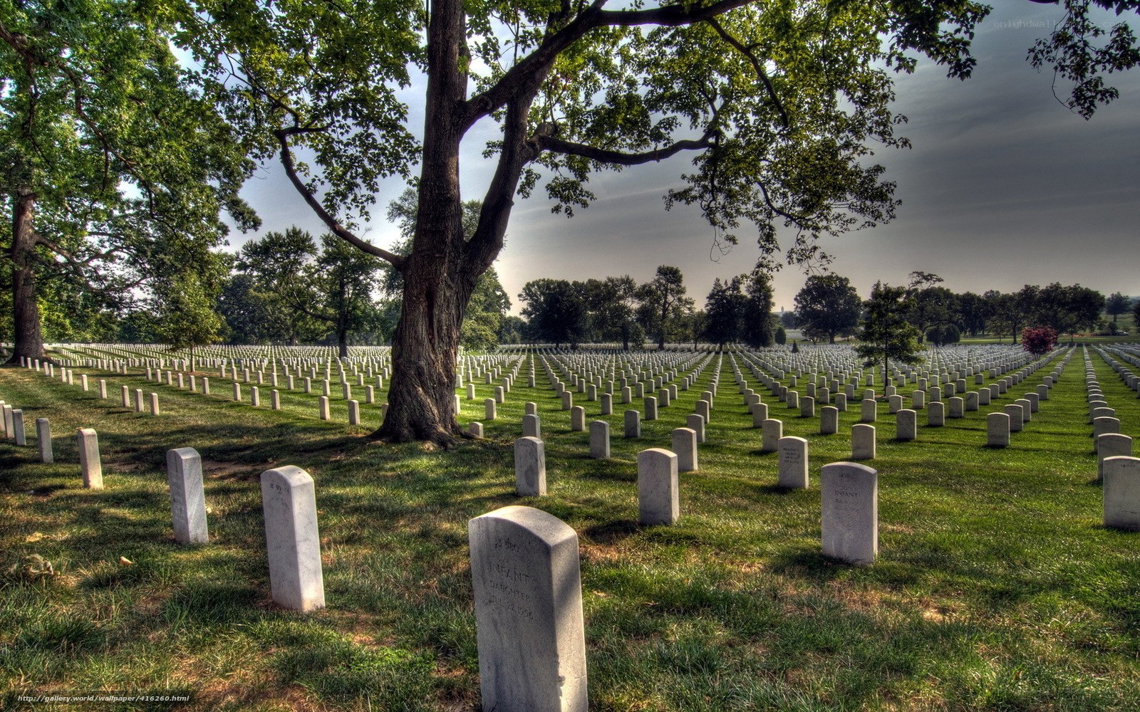 Graveyard with rows of headstones