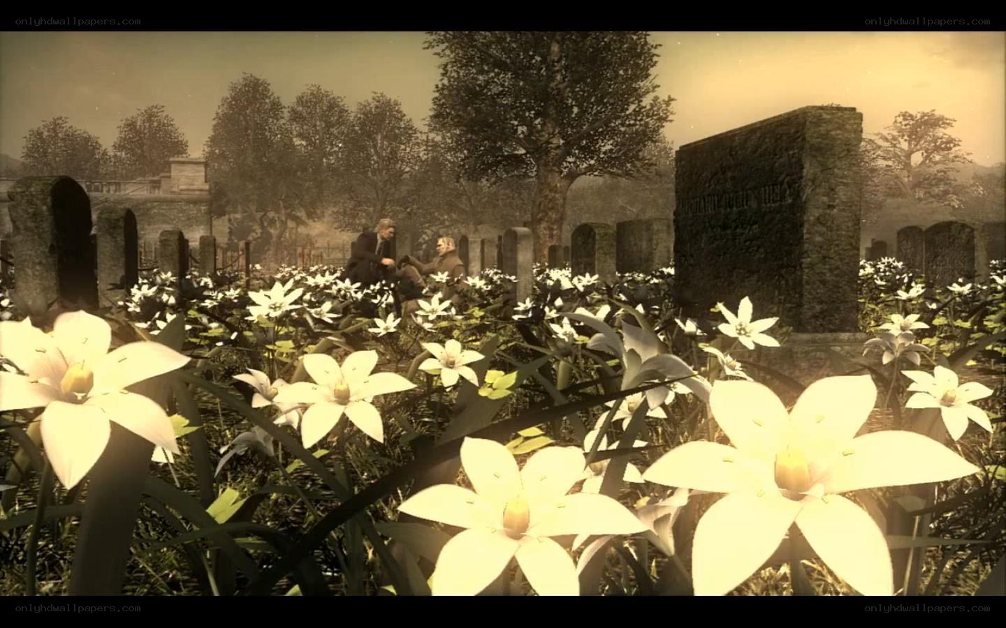 Graveyard with White Flowers