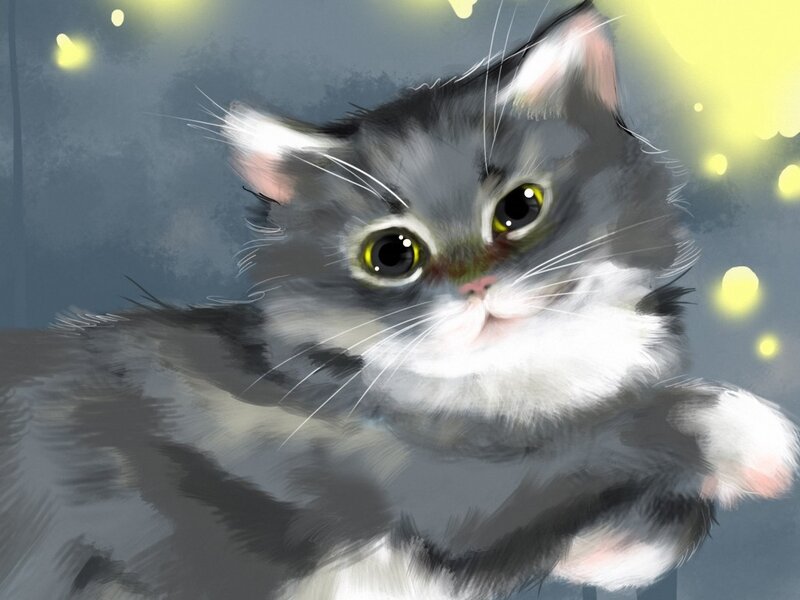 Gray and White Kitten — Calm, Night, Digital Art