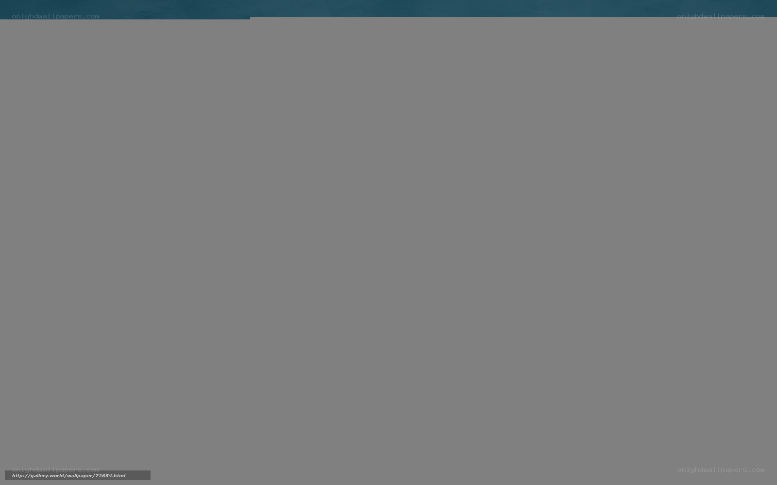 gray background with watermark
