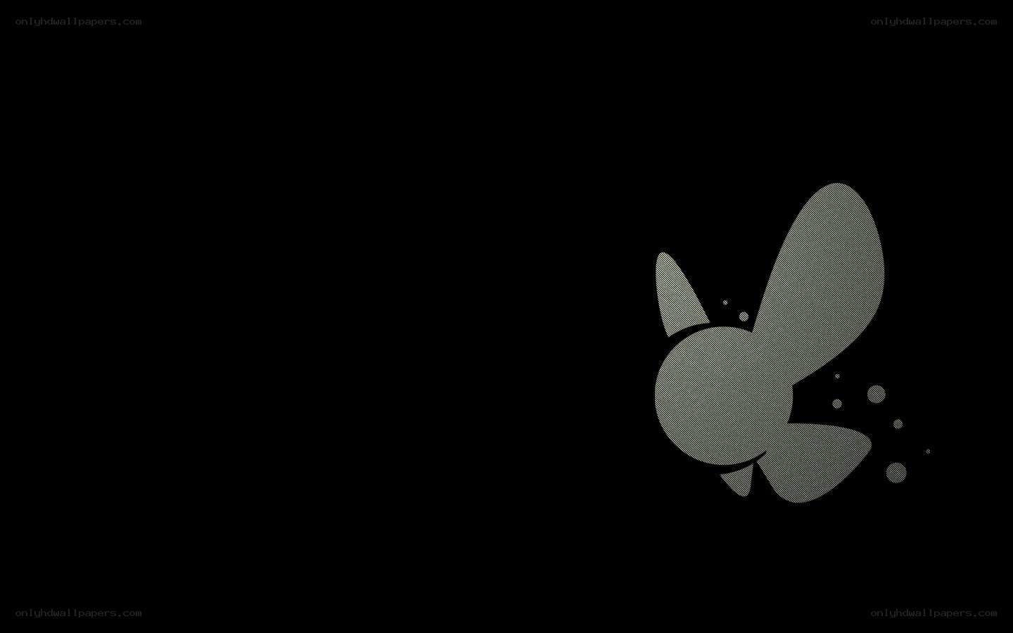 gray bee on black background