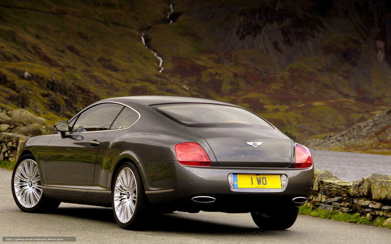 Gray Bentley Coupe — Serene