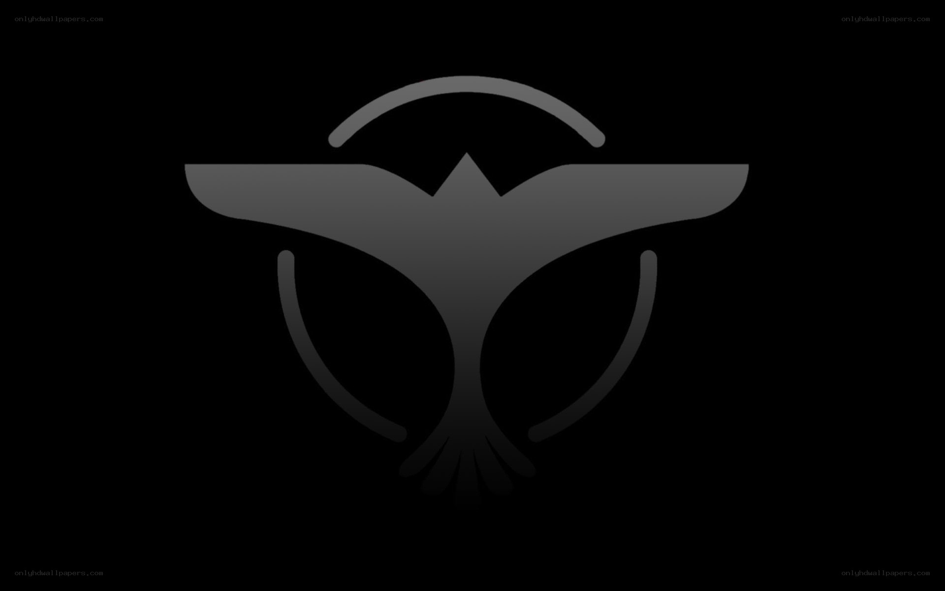 gray bird logo on black