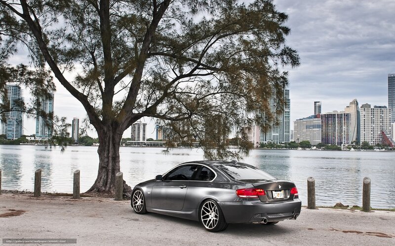 Gray BMW by the waterfront
