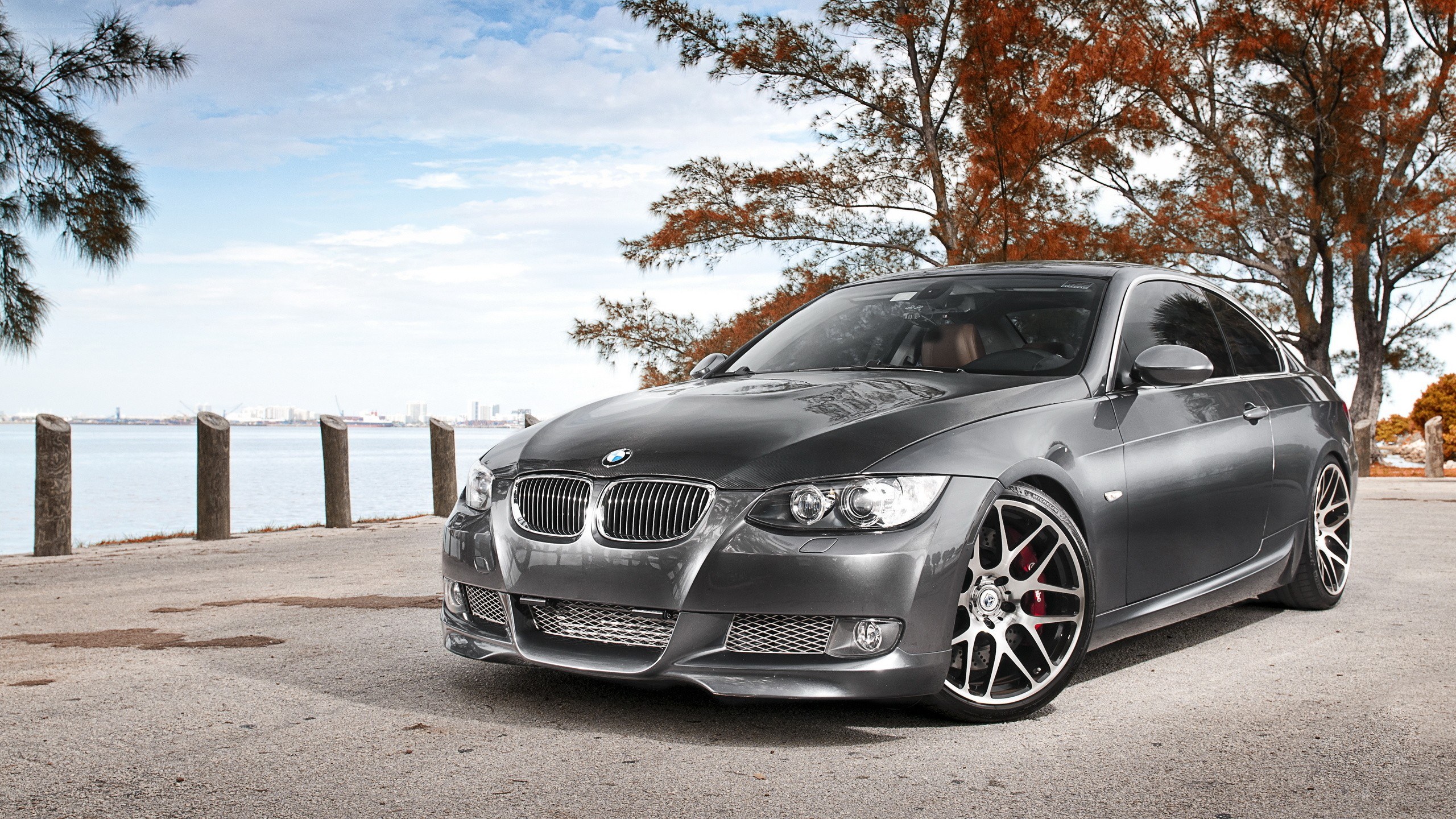 gray bmw coupe by the water