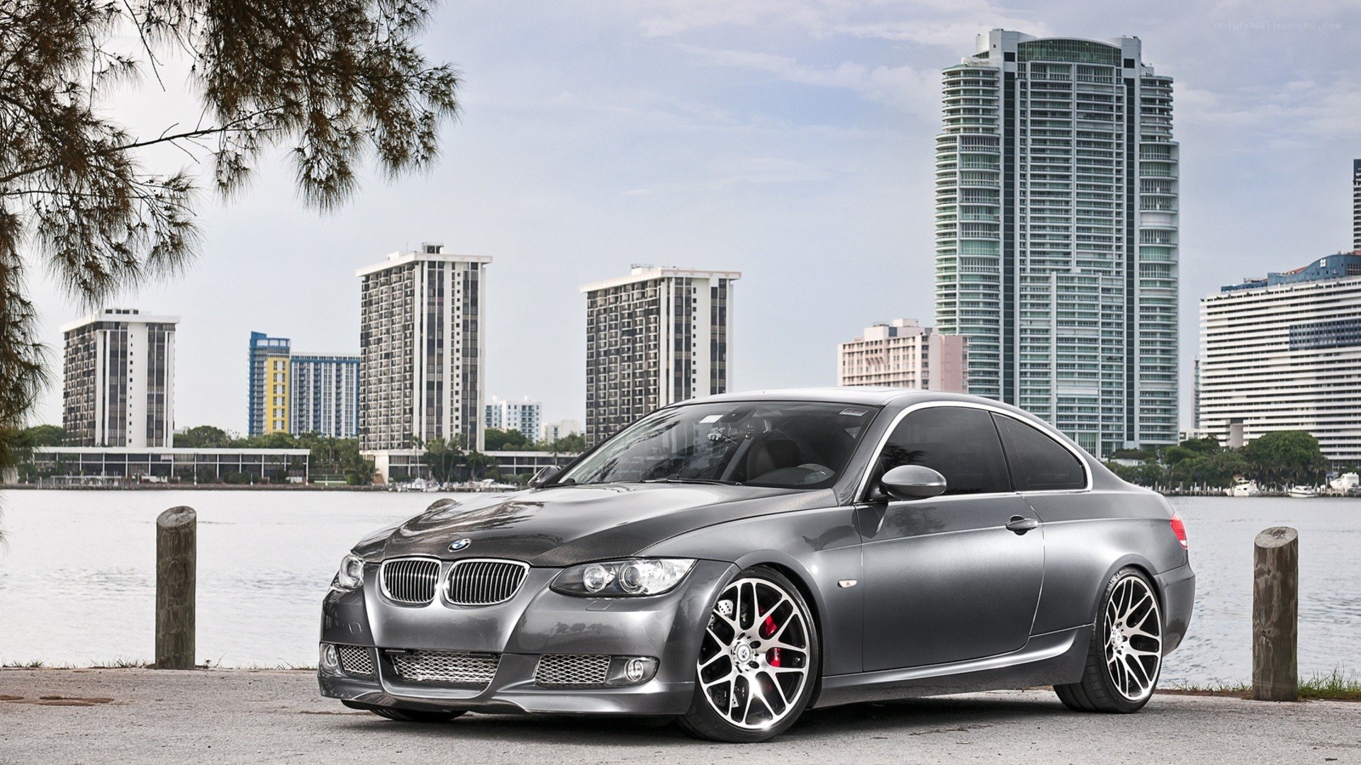 Gray BMW coupe by waterfront