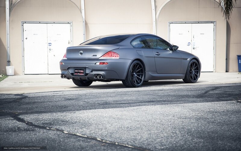 Gray BMW Coupe — Calm, Afternoon