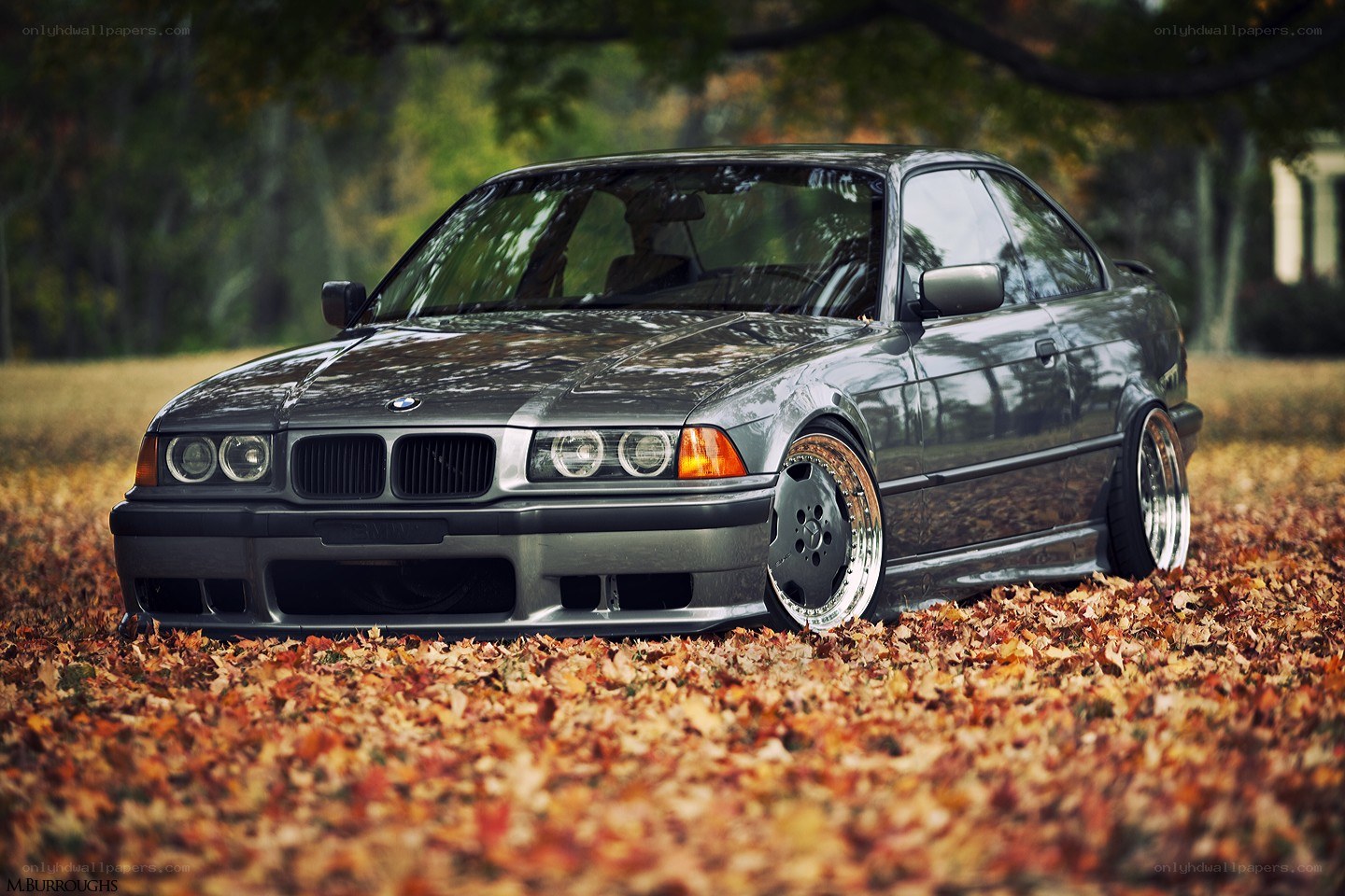 Gray BMW in autumn leaves