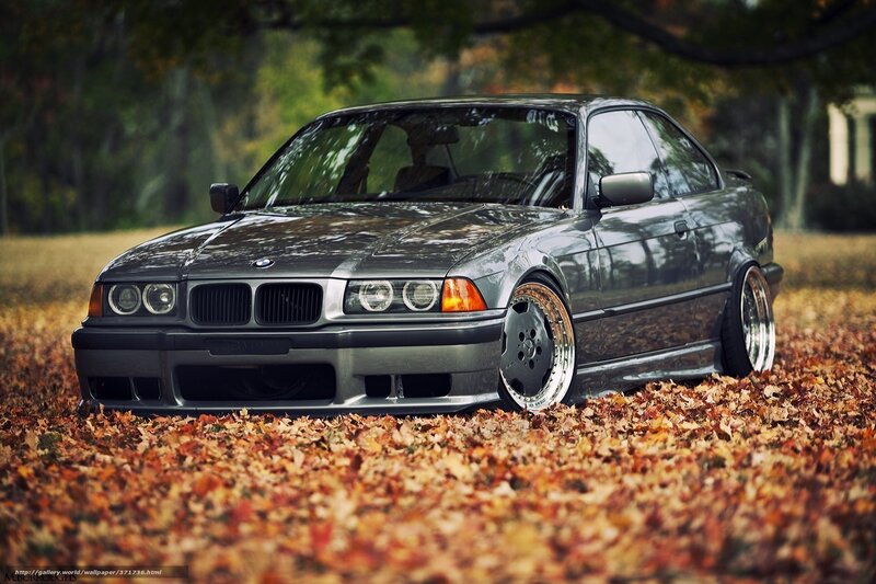 gray bmw in autumn leaves