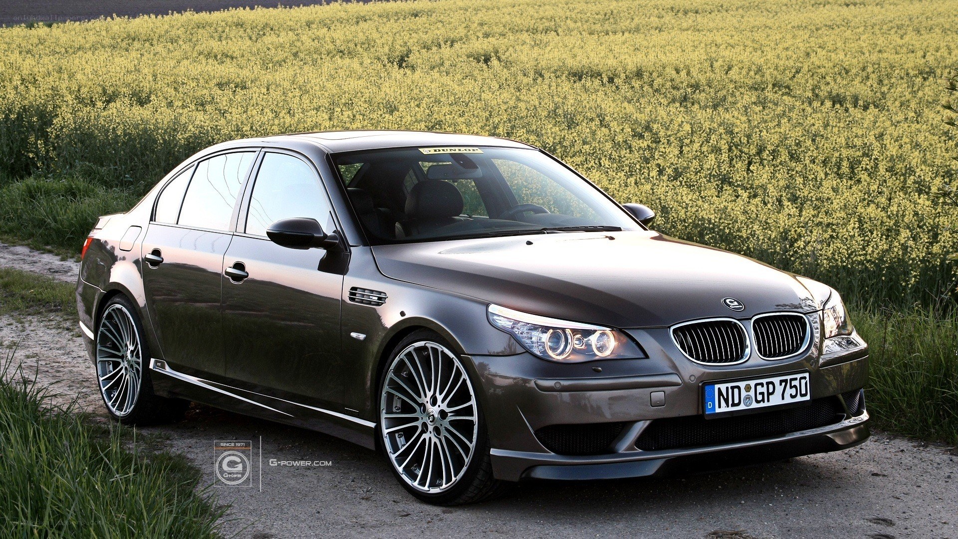 gray bmw sedan in field
